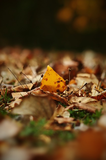 媒体人：成都蓉城一年三换董事长，新一任在走流程了